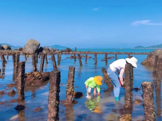 连江赶海