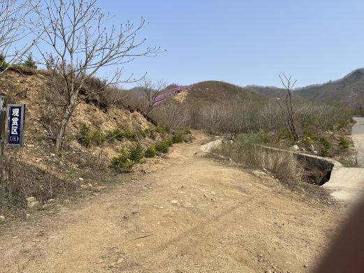 岫岩黄岭映山红景区