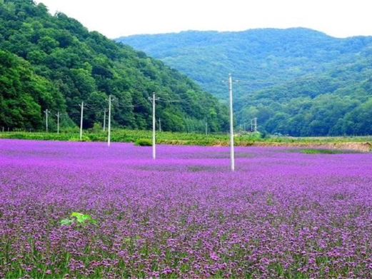 大北岔山风景区