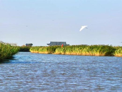 东方华地城湿地风景区