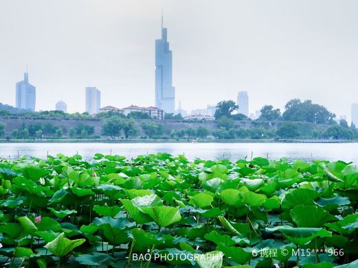 玄武湖景区