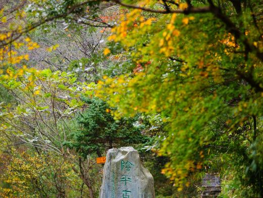 阴平古道