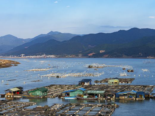 浒屿澳村