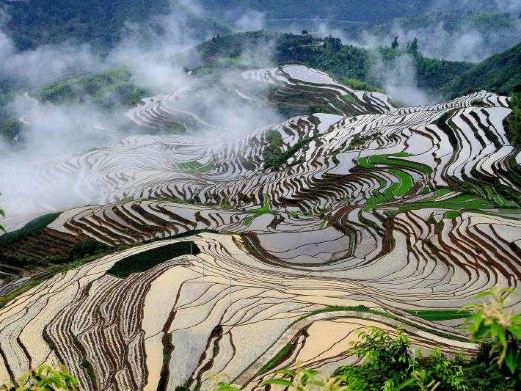 念山云上梯田景区