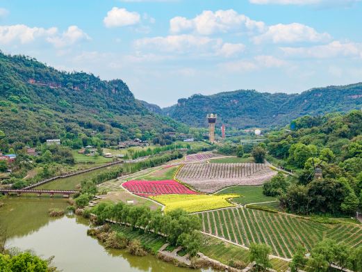 清溪谷旅游区•花田酒地景区