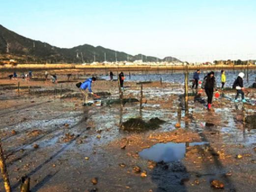 霞浦牛屿滩涂赶海体验中心