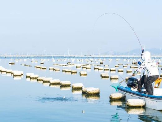 东山岛海钓