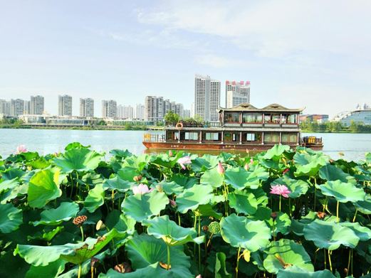 观音湖景区