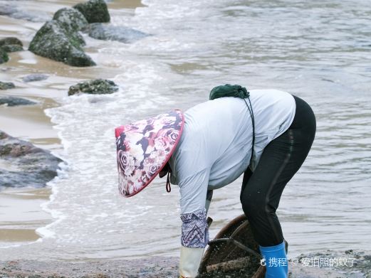 东山岛赶海