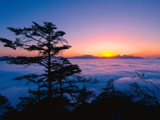 二郎山喇叭河风景区