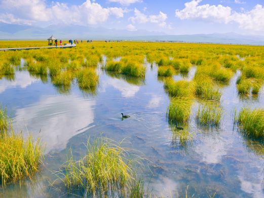 若尔盖花湖生态旅游区