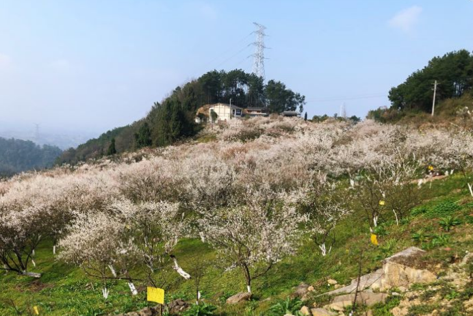 乌梅山风景名胜区