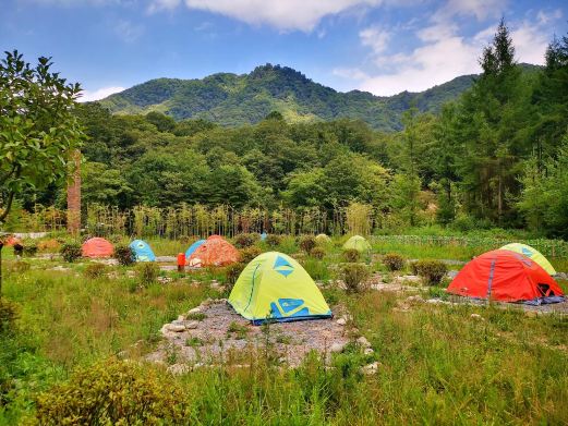 米仓山旅游景区-大坝森林公园