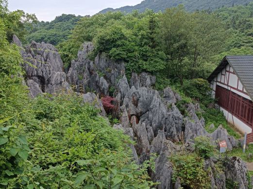 华蓥山地质博物馆