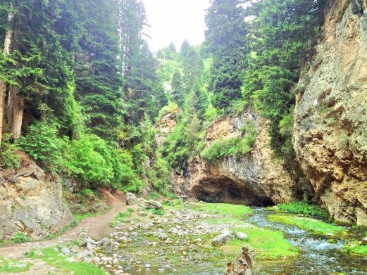 阿坝州纳摩大峡谷