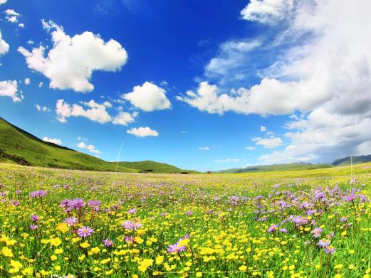 俄么塘花海景区