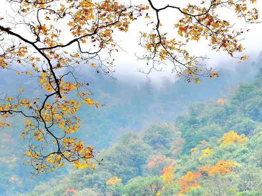 东拉山大峡谷