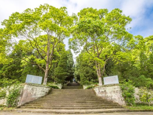 川陕苏区王坪旅游景区