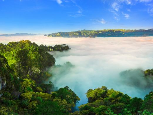 光雾山旅游景区