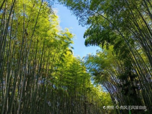 五峰山国家森林公园