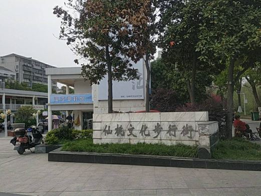 仙桃文化步行街(仙桃大道店)