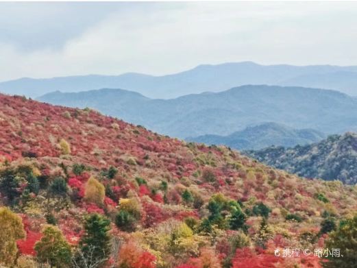 四方山枫叶谷