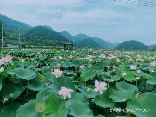 石门村