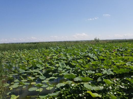 吉林查干湖国家级自然保护区博物馆