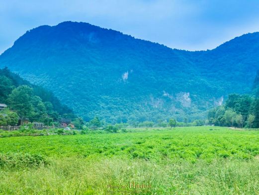 大洪山风景名胜区