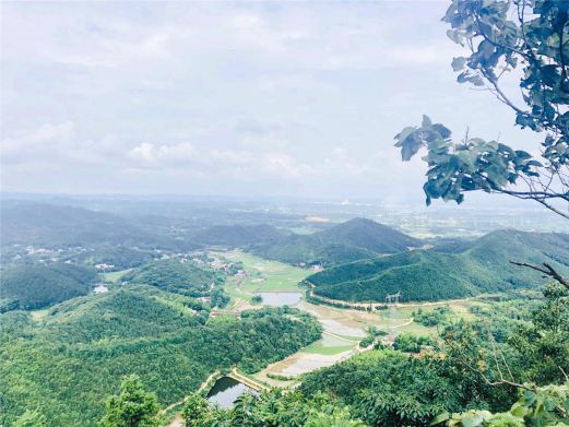 仙女山风景区