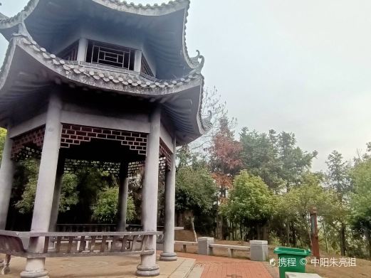 金霞山森林公园