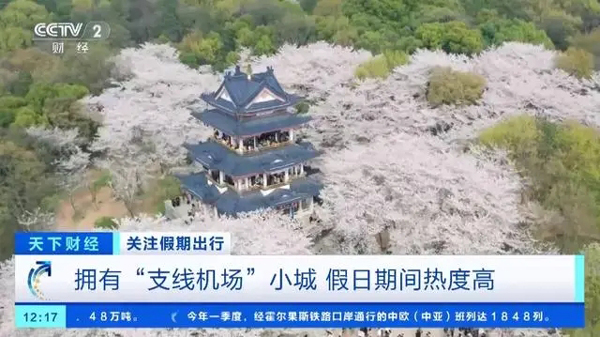 又一新晋热门旅游地！河南开封酒店预订量暴增近1000%→