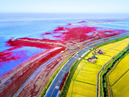 红海滩国家风景廊道