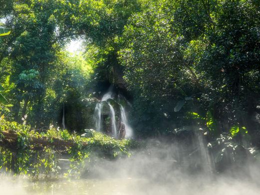 厦门园林植物园