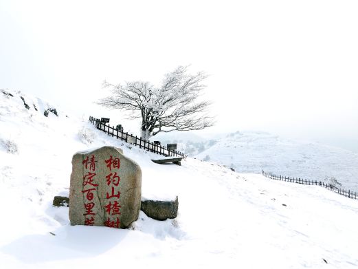 百里荒旅游度假区