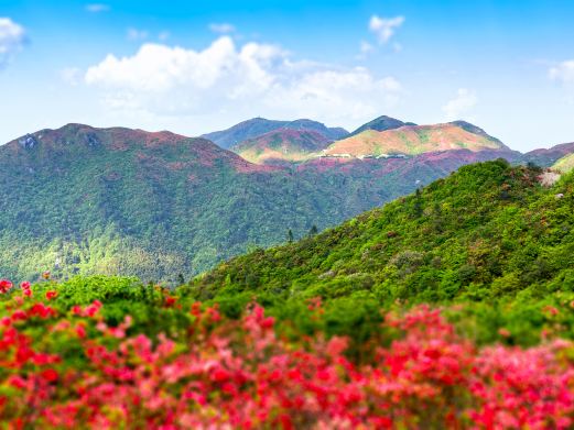 绿林山风景区