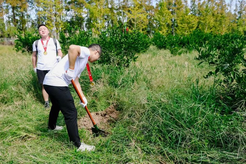 公司团建新体验 | 植树活动，播种绿色希望