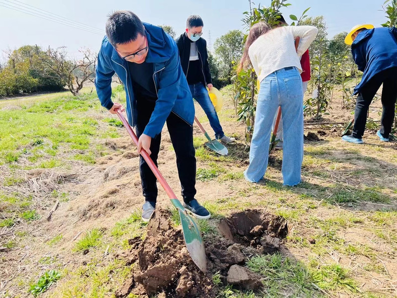 2025上海植树活动推荐2个种树好去处