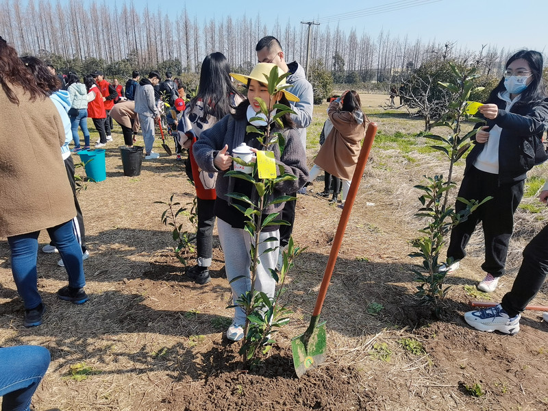 312植树节上海植树活动让地球更美好